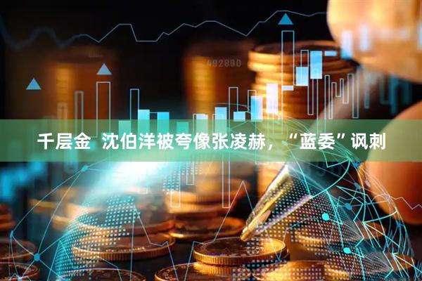 千层金 沈伯洋被夸像张凌赫,“蓝委”讽刺