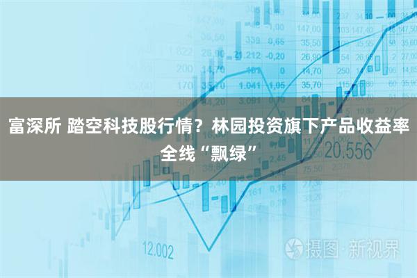 富深所 踏空科技股行情？林园投资旗下产品收益率全线“飘绿”
